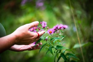 Image of Your Sacred Essence: Healing Sessions in Nature
