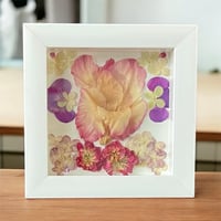Image 2 of Gladiolus, Hydrangea, Stock Flower & Geranium in 6" X 6" Shadow Box (Item# 202401S)