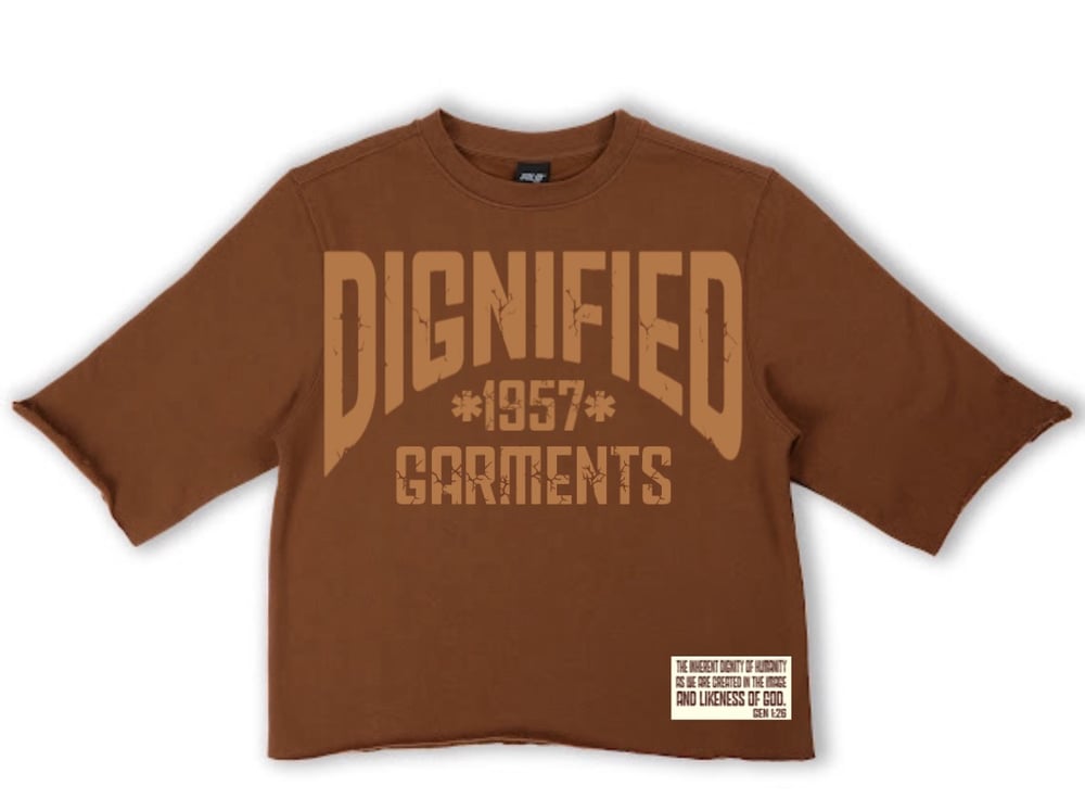 Image of Oversized Boxy Tee (Mocha) 