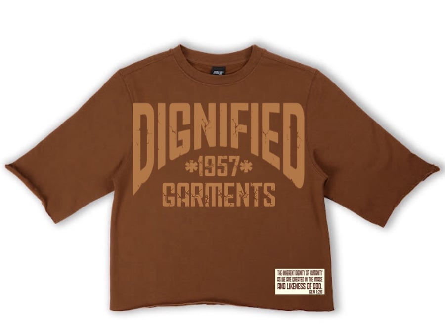 Image of Oversized Boxy Tee (Mocha) 