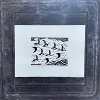 Image 1 of Winter in their cry.