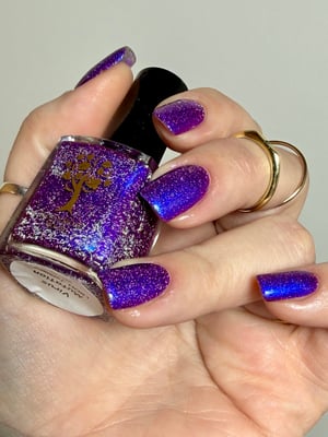 Image of Little box of Horrors