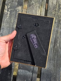 Image 4 of Antique Cat Collection - Cat engravings with real preserved web- L