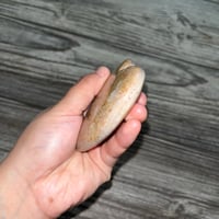 Image 3 of Ocean Jasper Heart