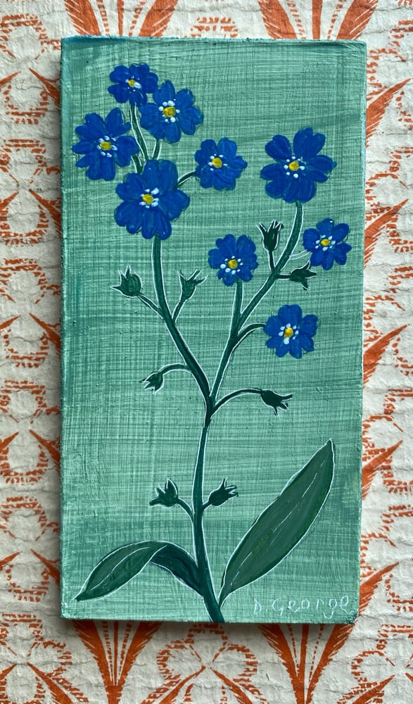 Image of Tiny Forget me not
