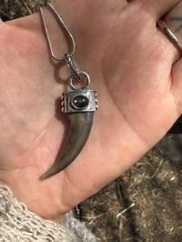Image 2 of Badger claw/ black star diopside 