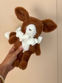 Image 3 of RENARD BICOLORE VENDU SEUL