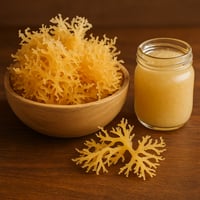 Image 3 of 💜 OceanLUX Original Lemon Sea Moss 🍋 16oz