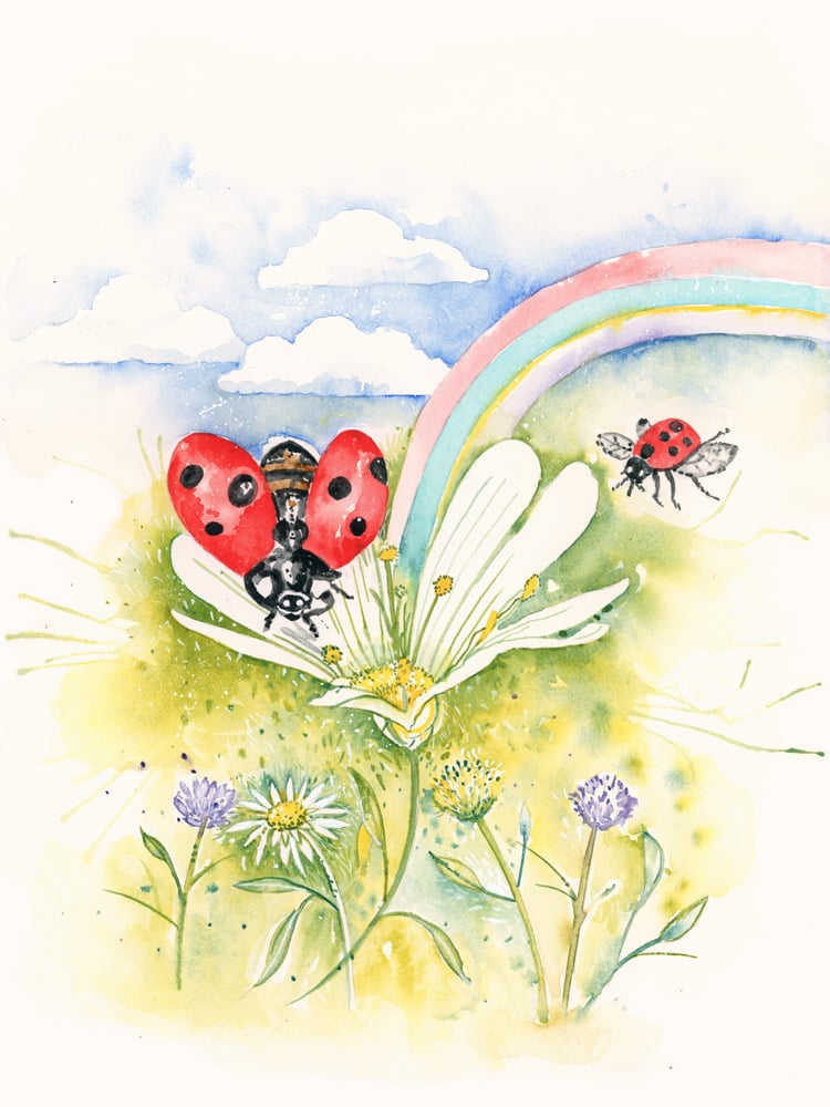 Image of Dotti Dots the Ladybugs