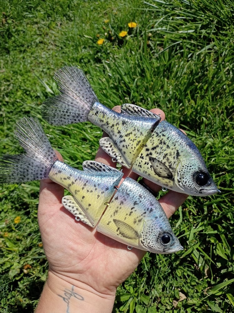 Image of Crooked Crappie