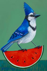 Blue Jay Watermelon Green