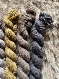 Image 3 of Mini Bundle #8 - 100G Hand Dyed Kent Romney Mini Skeins