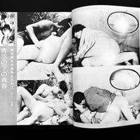 Image 17 of Harumoto Collector 1987 #12