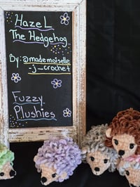 Image 2 of Hazel The Hedgehog 