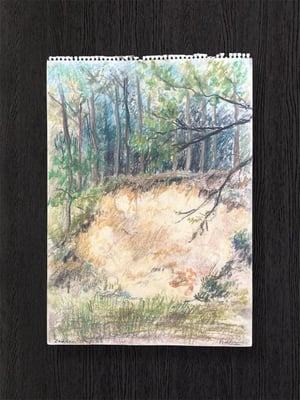 Image of VINTAGE DUTCH DRAWING: LANDSCAPE #11