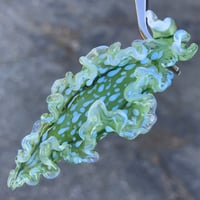 Image 1 of Green Spotted Lettuce Sea Slug Pendant