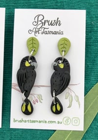 Yellow Tailed Black Cockatoo Earrings