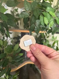 Image 5 of Pearly Whites