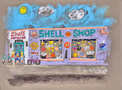 Image of The Shell Shop