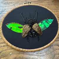 Image 1 of Beetle (5x7 inches)