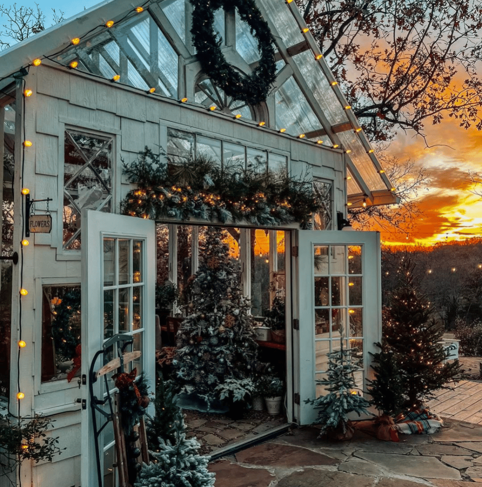 Image of Christmas Greenhouse Sessions - December 9th