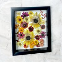 Image 2 of Indian Blanket, Nasturtium, Sunflower & Red Cone Wildflowers In 8" X 10" Shadow Box (Item# 202204LS)