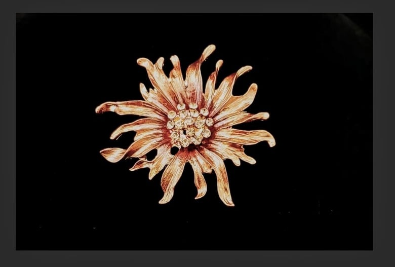 Image of Brown Rhinestone Flower Brooch 