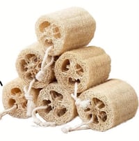 Natural Loofah
