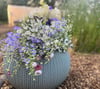 DIY Florist Bucket of Flowers 