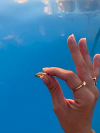 Image 3 of Little goldfish 