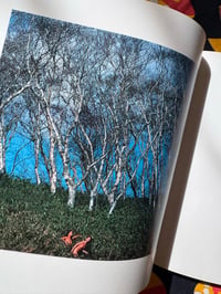 Image 12 of Kira Sugiyama, Sanka I & II, 1972/1977. Both Signed.