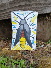 Image 8 of Lightning Bug