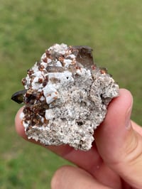 Image 5 of Smoky Quartz & Garnets On Feldspar Specimen #1907