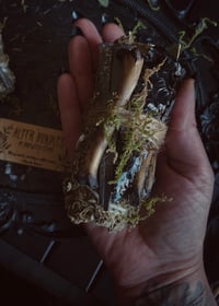 Image 1 of Alter bundles with mugwort, coffin nails, obsidian, and bones 