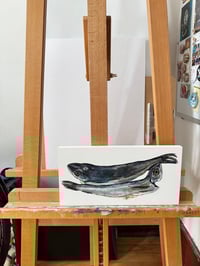 Image 3 of Supermarket Fish (2)