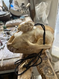 Image 1 of Antler Badger skull pendant 