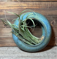 Image 1 of Large air plant hanger 