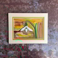 Image 1 of One Snowdrop 
