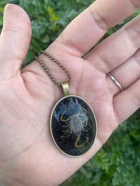 Image 1 of Scorpion necklace 