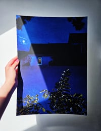 Image 2 of BLUE NIGHT