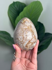 Image 1 of IBIS JASPER EGG -MADAGASCAR- C