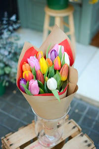 Image 3 of Tulipanes Mix