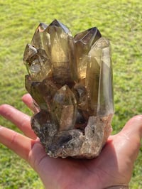 Image 3 of Smoky Citrine Points Cluster #1876