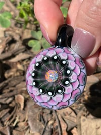 Image 4 of Queen Purple