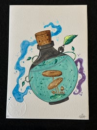 Image 2 of Pote 3/4 - Pote dos cogumelos