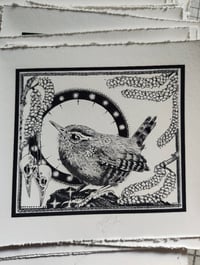 Image 2 of Little wren- drawn to scale!