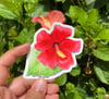 Flor de Maga 🌺 Sticker