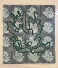 Image 5 of Coral