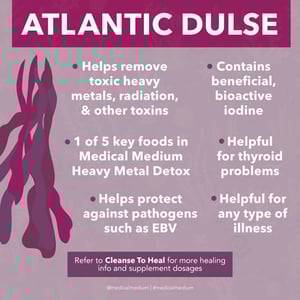 Image of Blueberry & Atlantic Dulse Extract