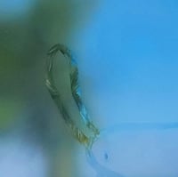 Image 2 of “The Cat” by Kat 8x10 Print